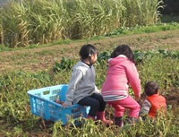 めぐさぽ倶楽部活動写真