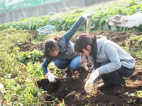 めぐさぽ倶楽部活動写真